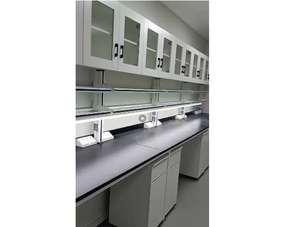 實(shí)驗(yàn)臺(tái)-塘樹(shù)科技實(shí)驗(yàn)室家具 實(shí)驗(yàn)臺(tái) 通風(fēng)柜 吊柜工程現(xiàn)場(chǎng)完工效果